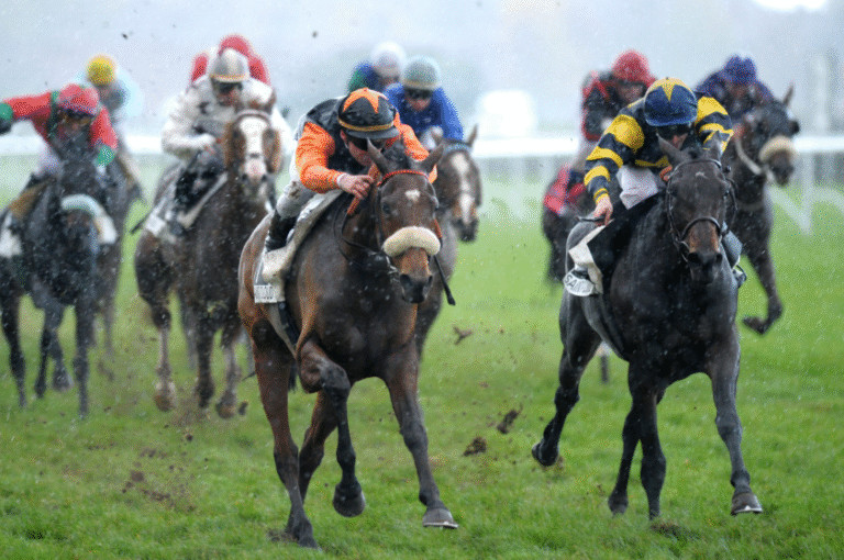 How Do Horse Racing Trainers Prepare Horses for Big Races?