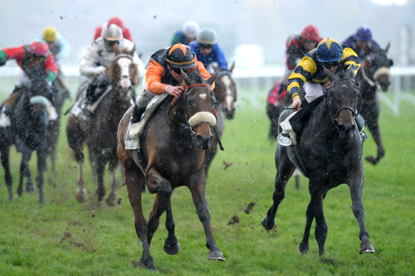 How Do Horse Racing Trainers Prepare Horses for Big Races?