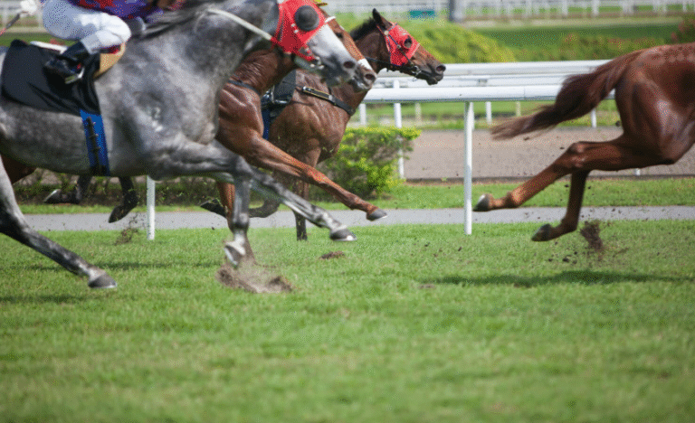 How Horse Racing Affects the Local Economy of Major Tracks