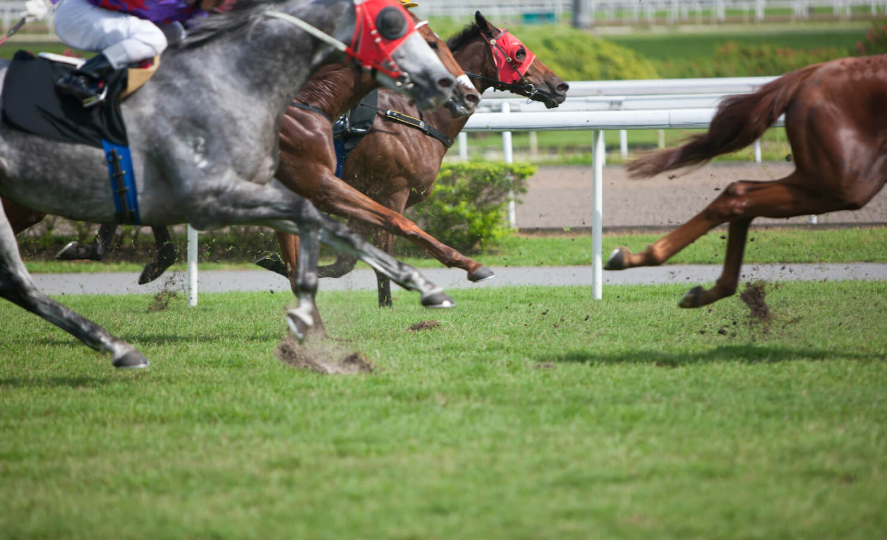 How Horse Racing Affects the Local Economy of Major Tracks