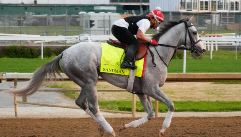 How Horse Racing Has Evolved Over the Last Century